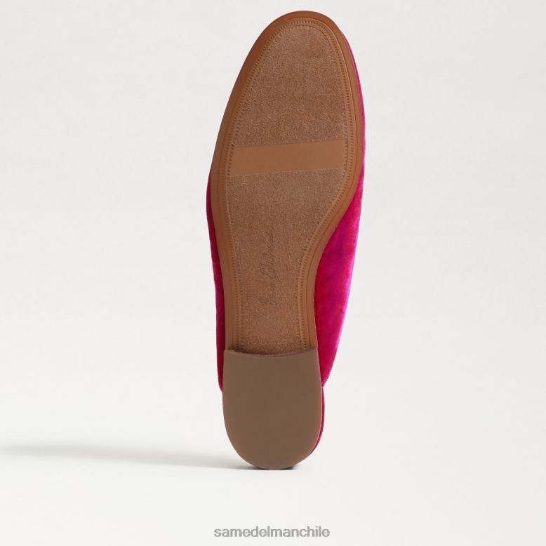 Sam Edelman P802J74 calzado terciopelo frambuesa mujer mula linnie bit