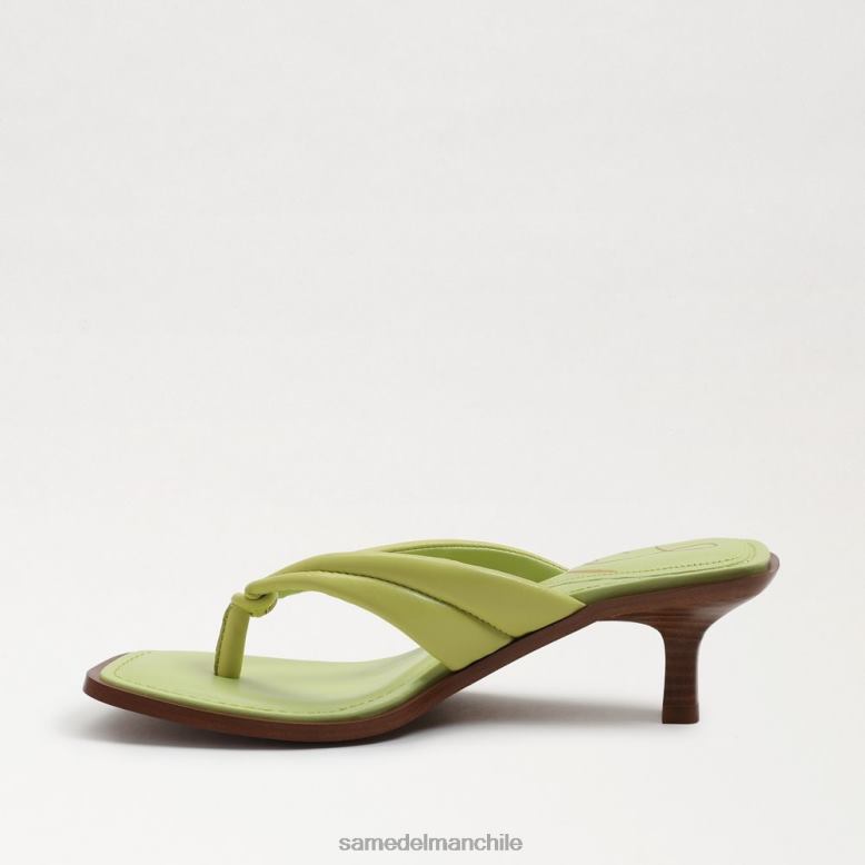 Sam Edelman P802J710 calzado cuero de kiwi mujer sandalia tipo tanga daphney