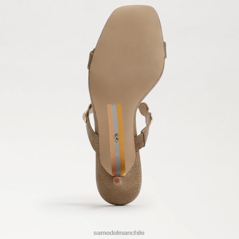 Sam Edelman P802J492 calzado crema chai mujer mules palma con tacón gatito